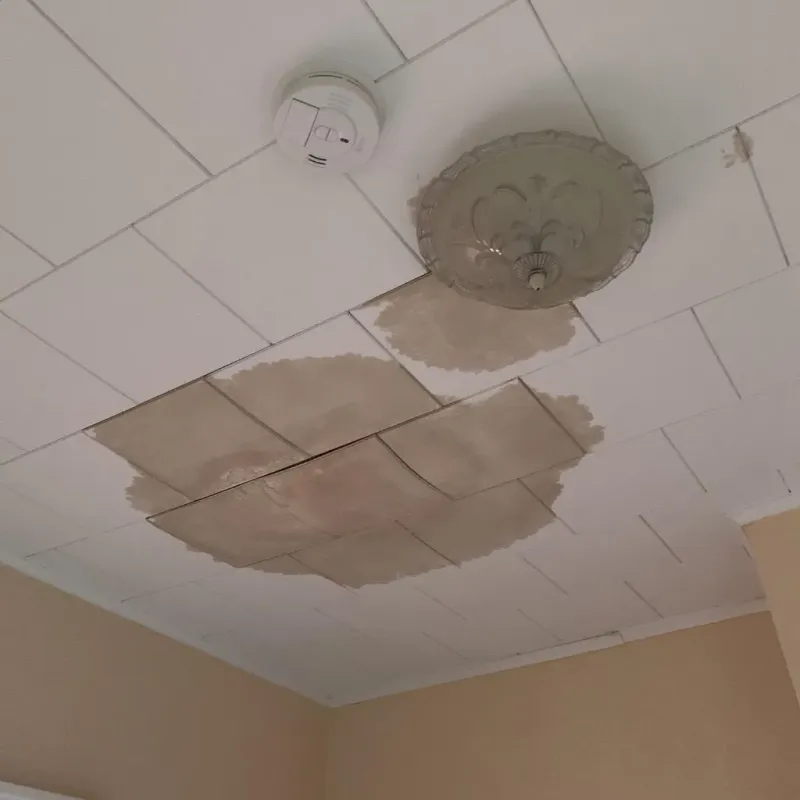 Ceiling Water Damage Repair in Republic, PA