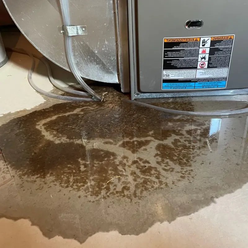 Pipe Burst and Leak Restoration in Republic, PA
