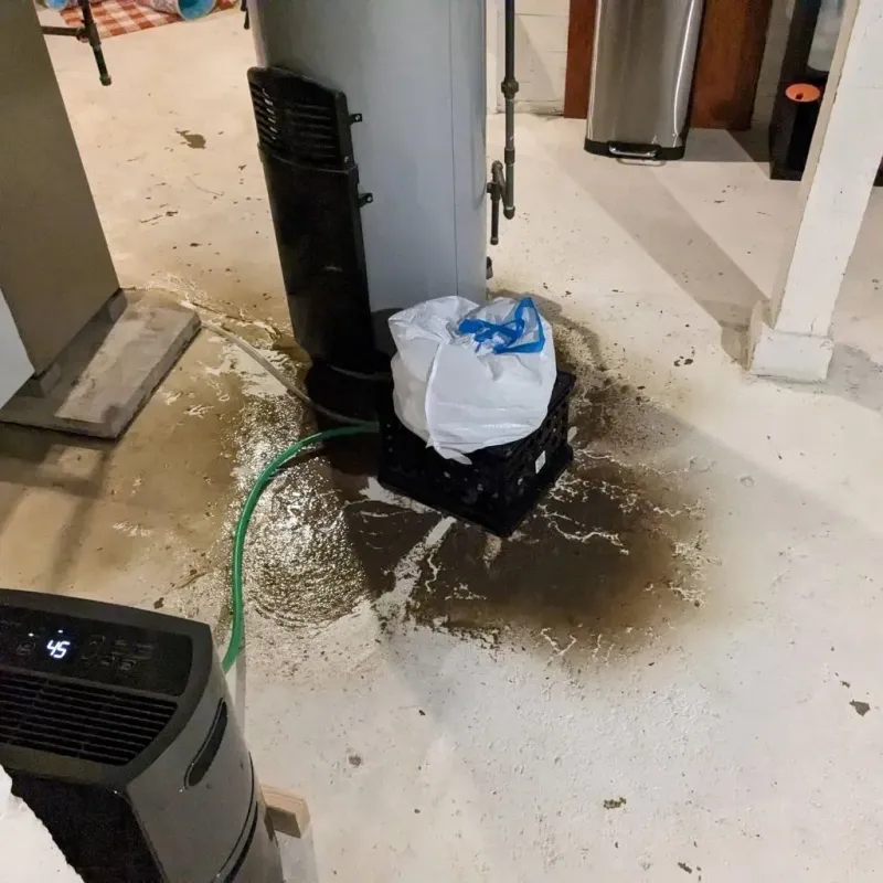 Sewage Backup Cleanup Service in Republic, PA
